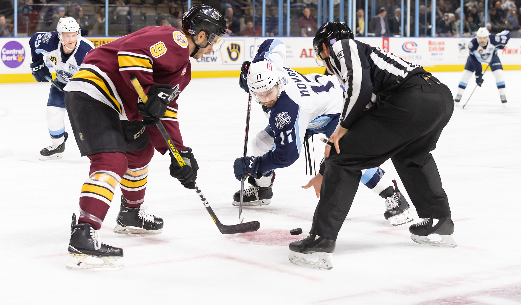 Ads Host Two this Weekend - Milwaukee Admirals