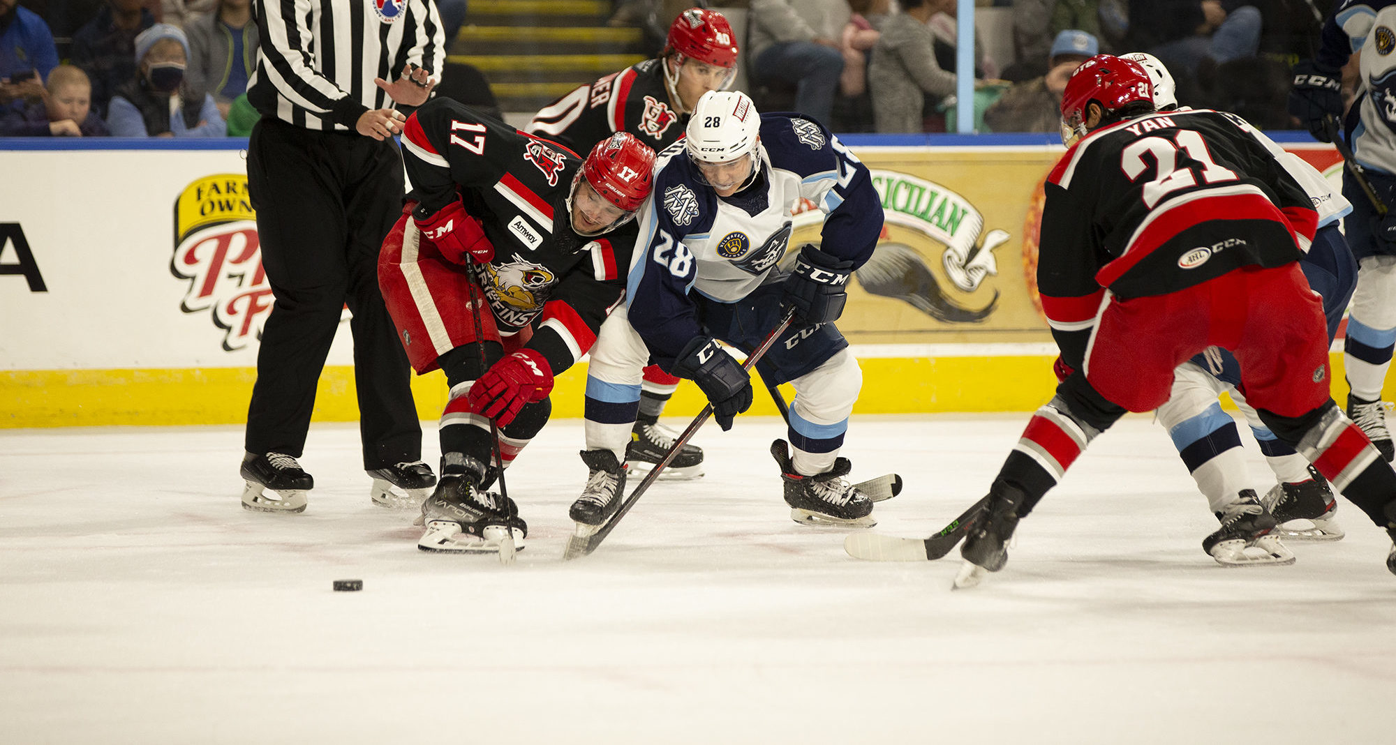 Schneider Named Ads Captain - Milwaukee Admirals