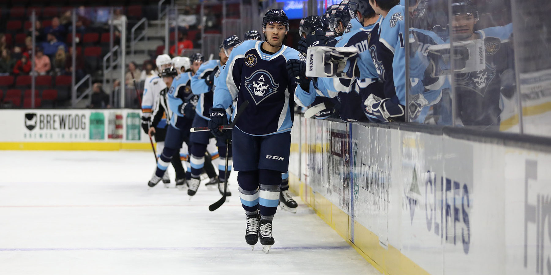 MILWAUKEE ADMIRALS 50TH YR HOCKEY PUCK . | SidelineSwap