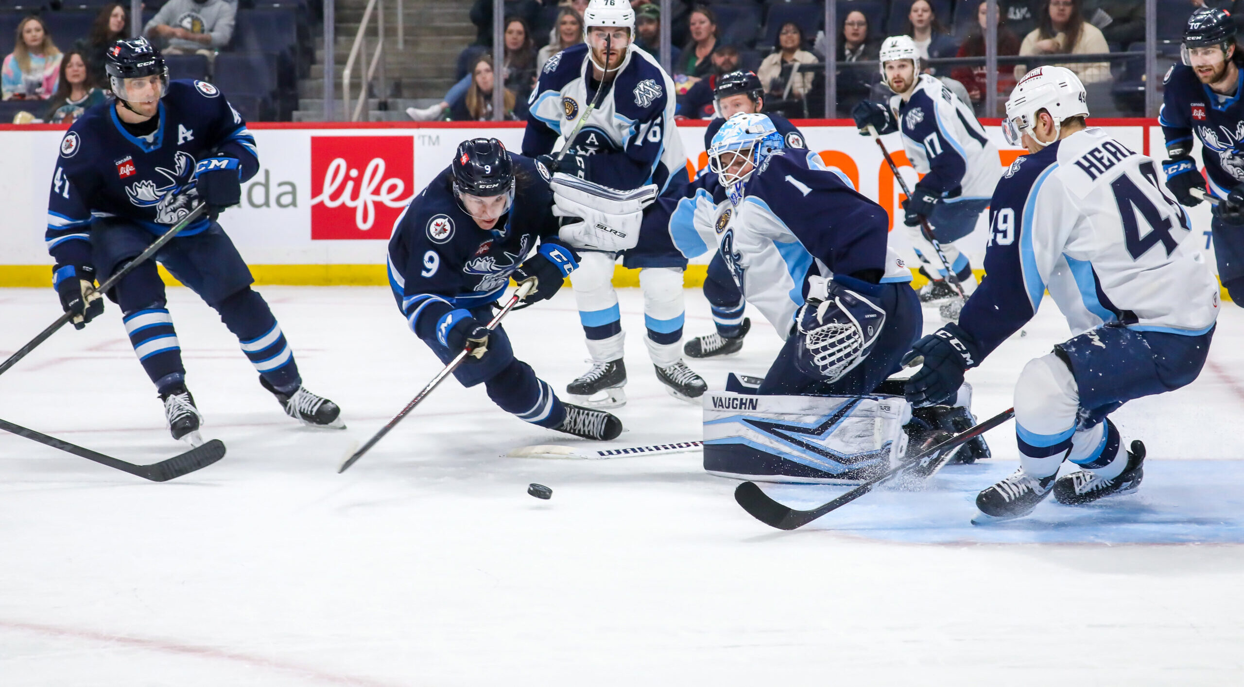 Ads Drop Game 3 to Moose - Milwaukee Admirals