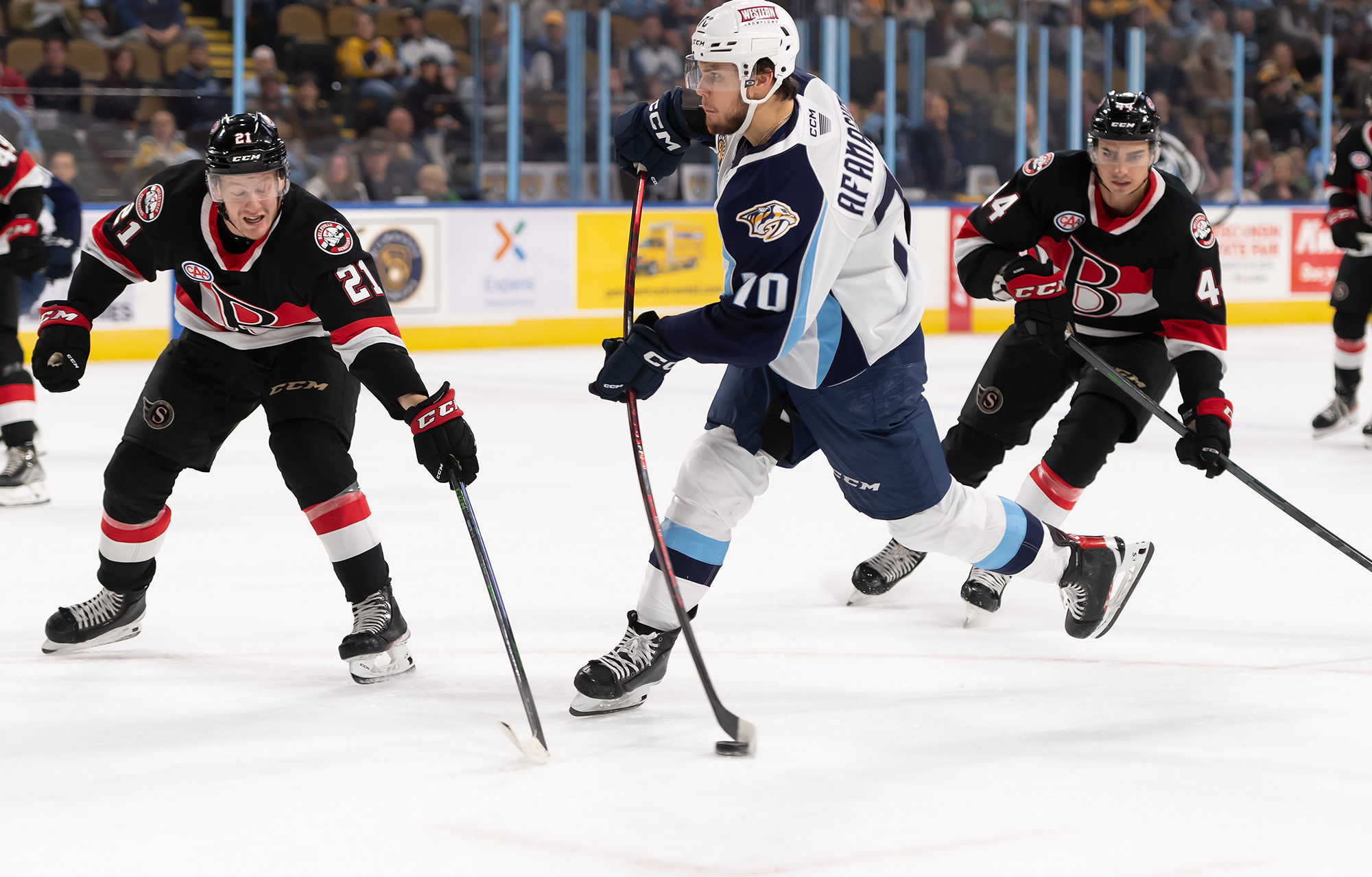 Admirals Impeach Senators - Milwaukee Admirals