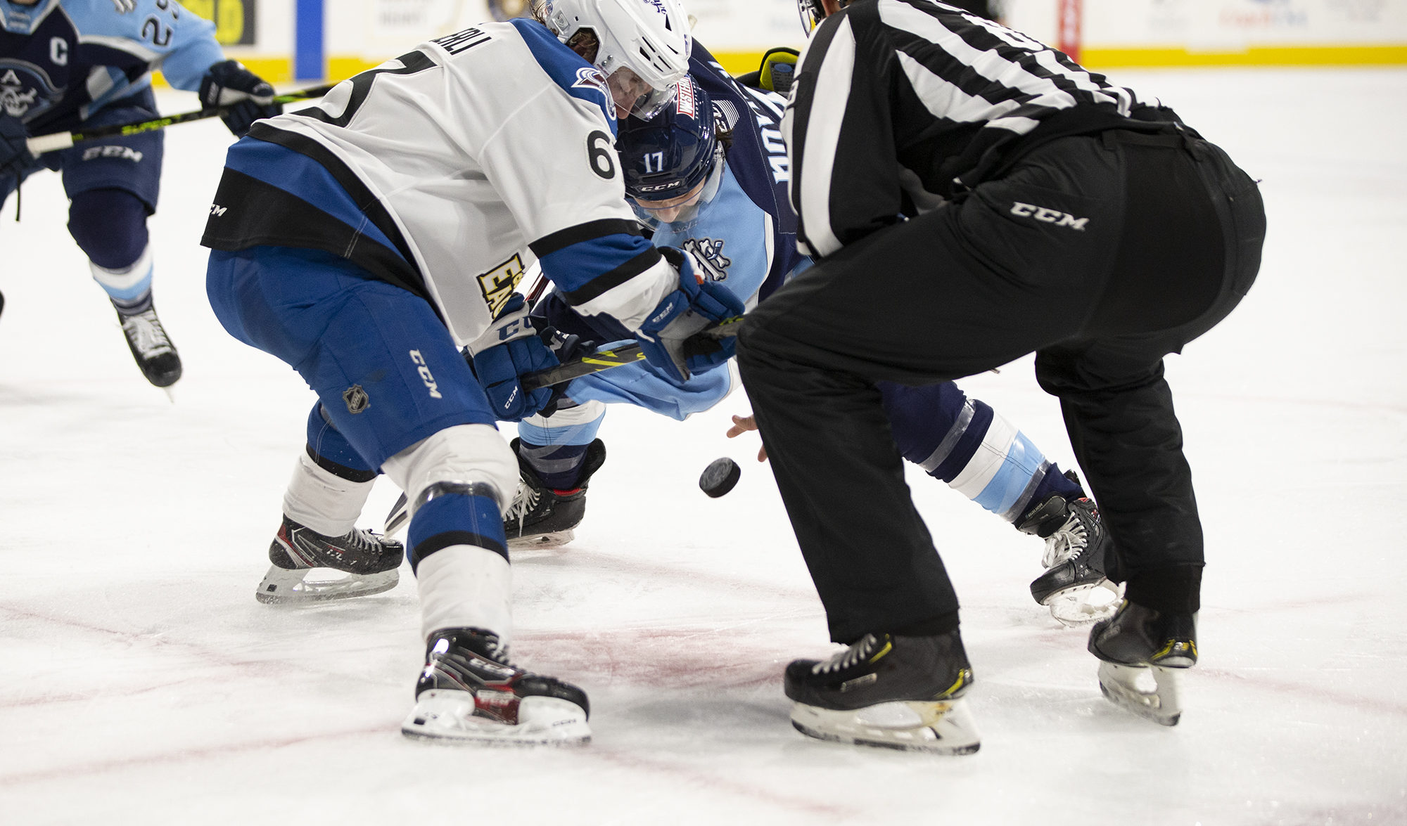 Milwaukee Admirals Hit the Ice on My24 Sports