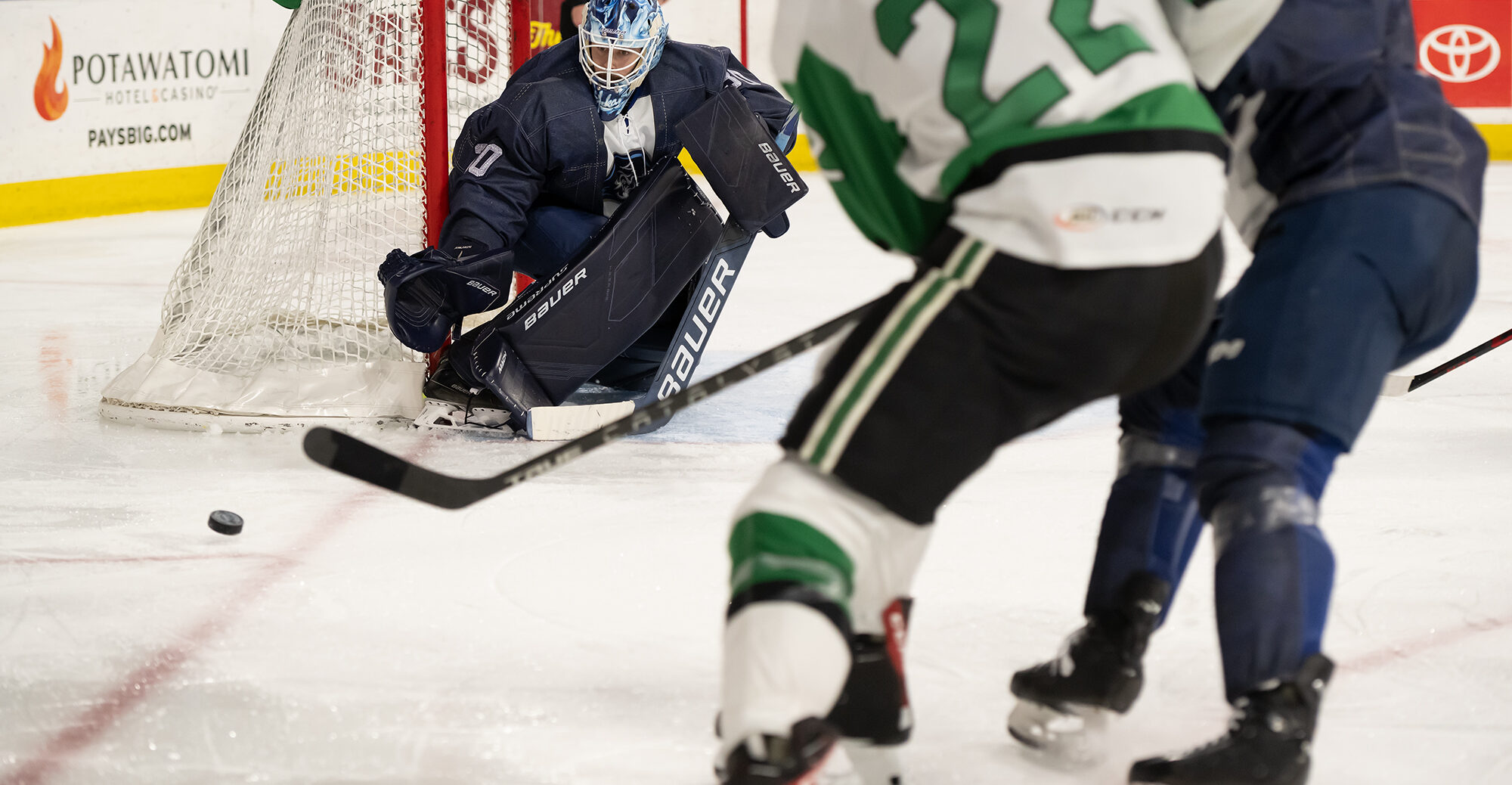 Askarov Named AHL Player Of The Week - Milwaukee Admirals