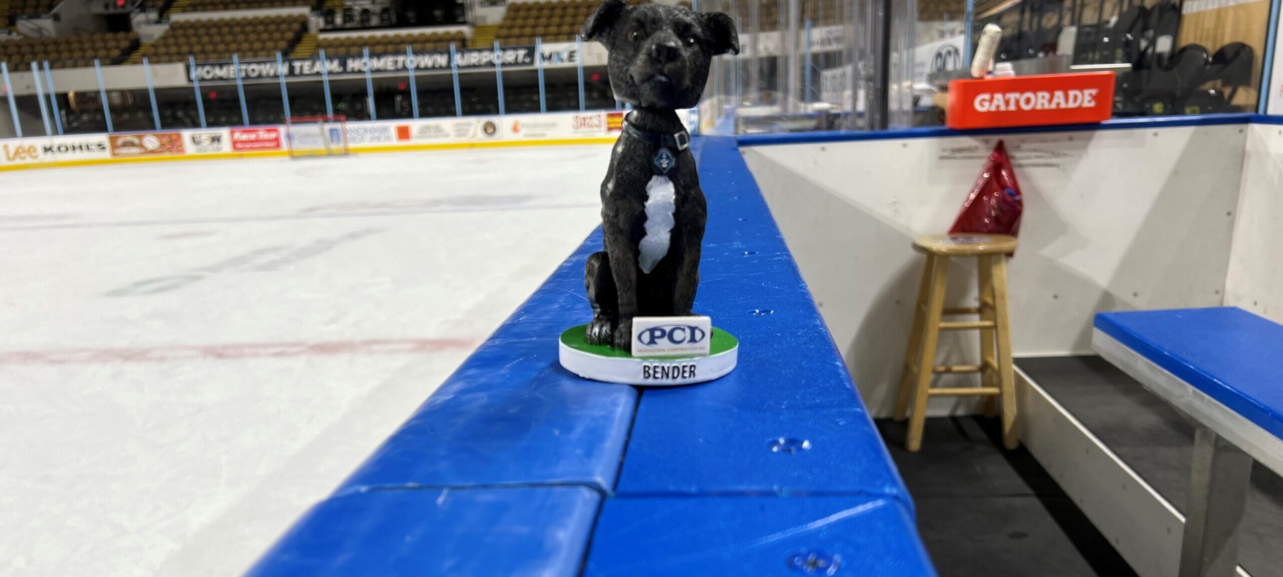 You can bring your dog to a Milwaukee Admirals game this Saturday